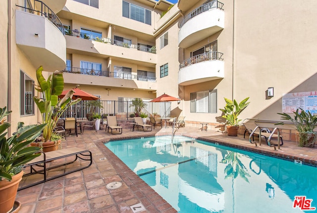 view of pool featuring a patio area