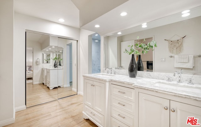 bathroom featuring wood-type flooring and vanity