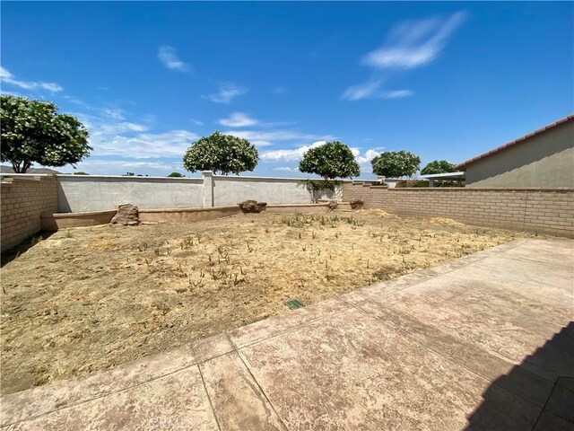 view of yard featuring a patio