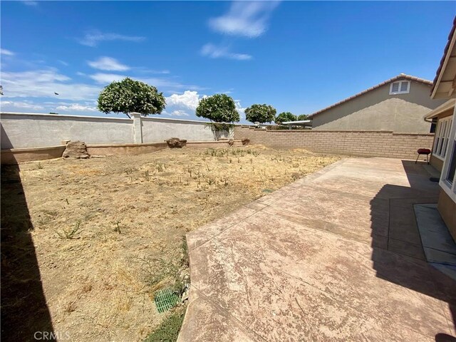 view of yard featuring a patio