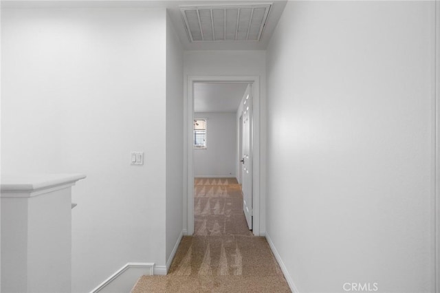 hallway with carpet floors