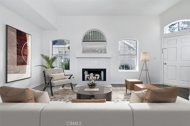 living room with hardwood / wood-style floors and a fireplace