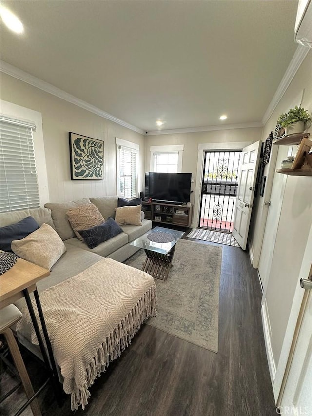 living room featuring crown molding and dark hardwood / wood-style flooring