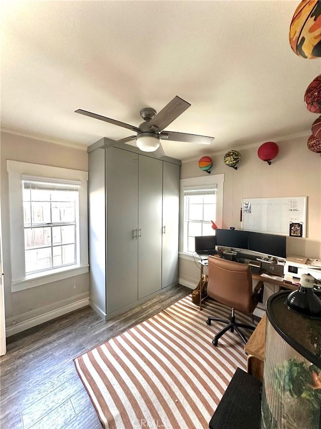 office featuring ceiling fan and hardwood / wood-style floors