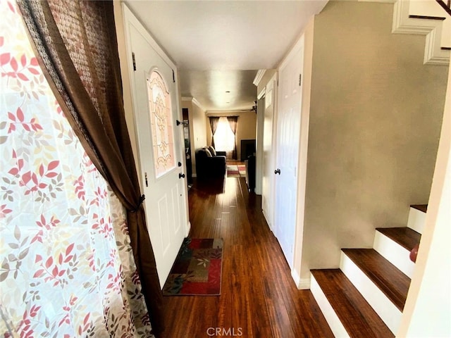 hallway with crown molding and dark hardwood / wood-style floors