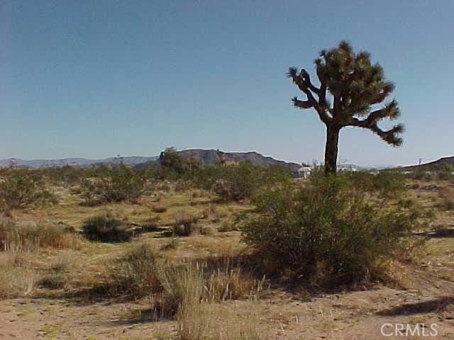 Listing photo 3 for 528 Landers Ln, Landers CA 92285