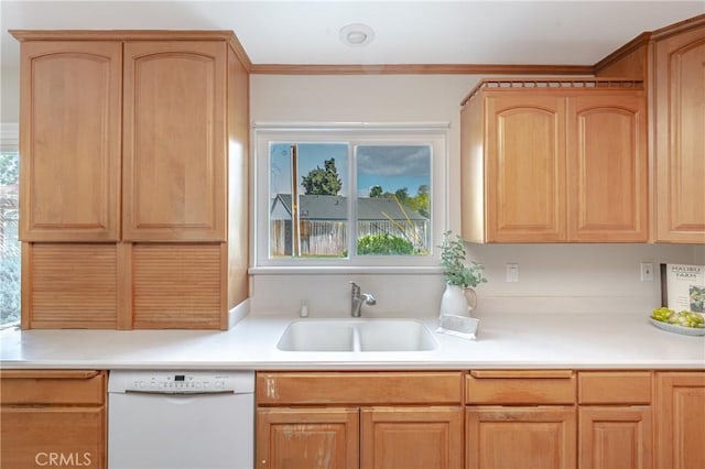 kitchen with sink and dishwasher