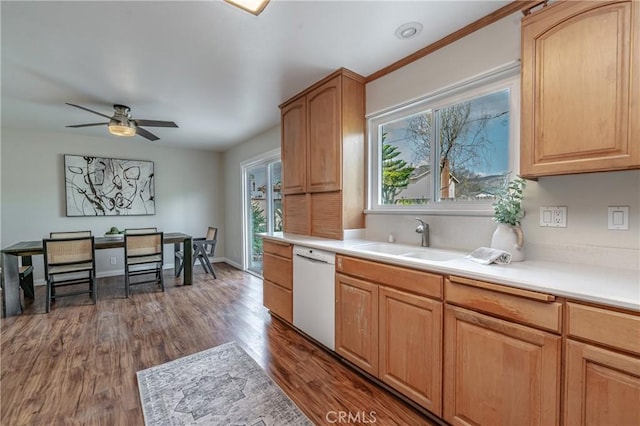 kitchen with ceiling fan, white dishwasher, dark hardwood / wood-style flooring, and sink