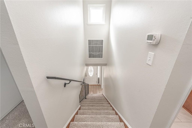 stairway featuring carpet