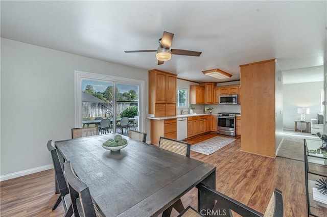 dining space featuring light hardwood / wood-style flooring and ceiling fan