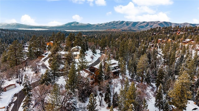 snowy aerial view featuring a mountain view