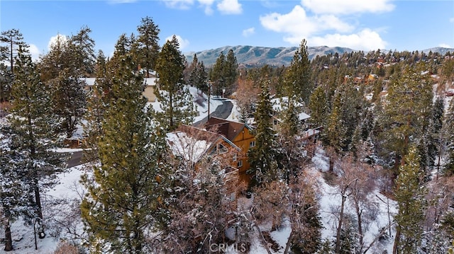 exterior space featuring a mountain view