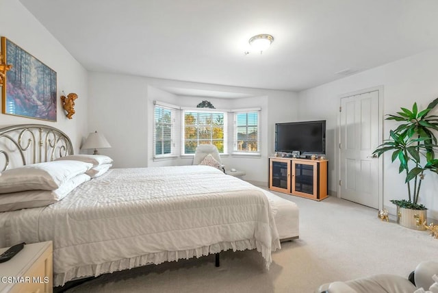 bedroom with carpet floors