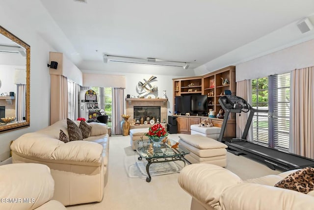 living room with rail lighting, carpet floors, and a wealth of natural light