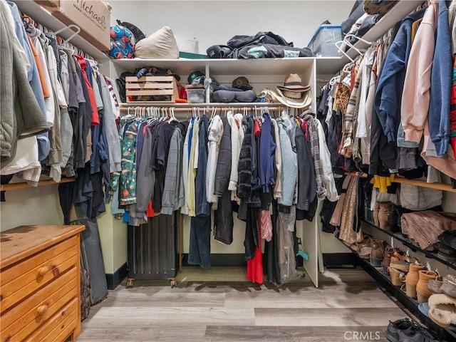 walk in closet featuring wood-type flooring and radiator