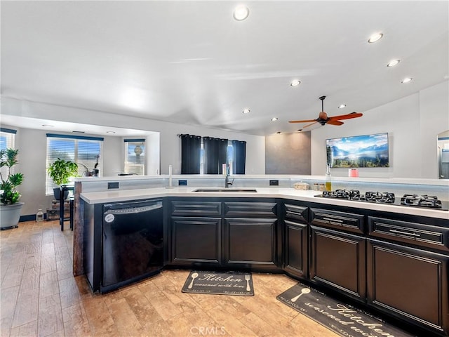 kitchen with dishwasher, sink, gas cooktop, ceiling fan, and light wood-type flooring