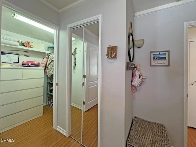 hall with crown molding and light hardwood / wood-style floors