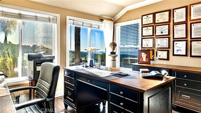 office area featuring crown molding and dark wood-type flooring