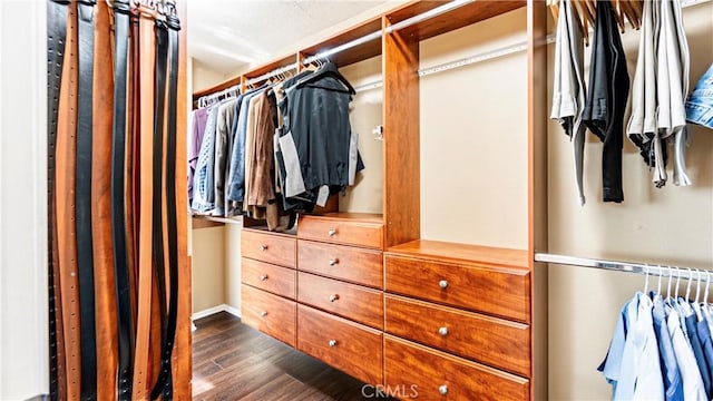 walk in closet with dark hardwood / wood-style flooring