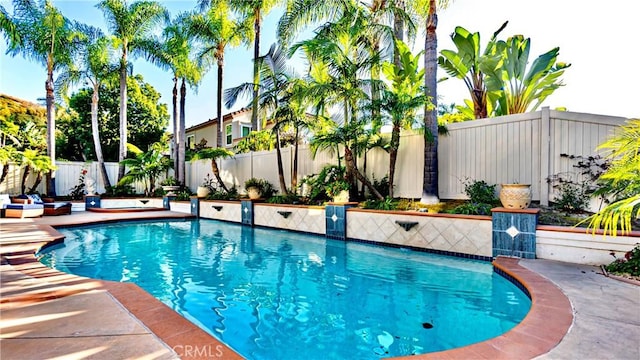 view of pool featuring a patio