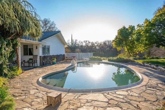 view of pool with a patio