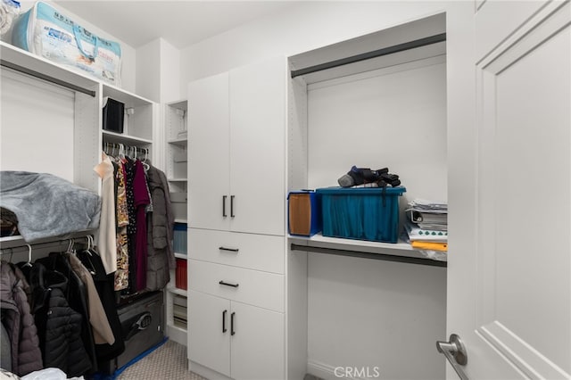 view of spacious closet