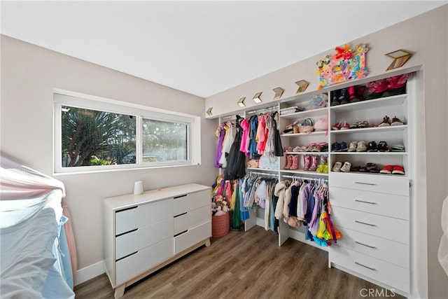 walk in closet featuring dark hardwood / wood-style floors