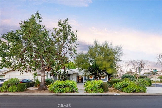 view of property hidden behind natural elements with a garage