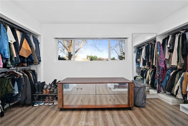 walk in closet featuring wood-type flooring