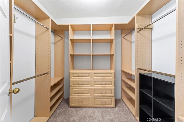 spacious closet with light carpet