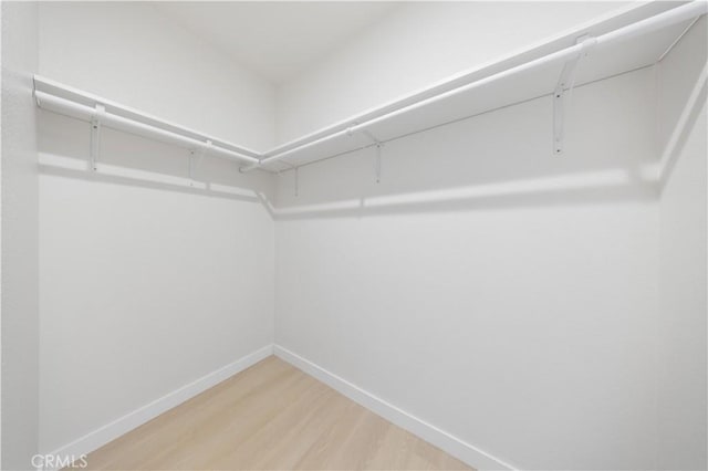 walk in closet with hardwood / wood-style floors