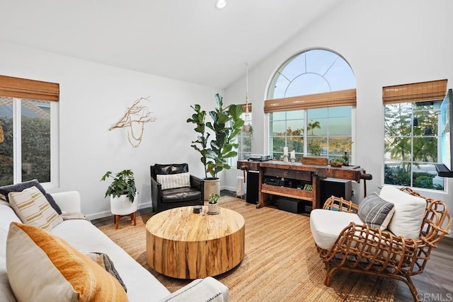 living room featuring lofted ceiling and light hardwood / wood-style floors