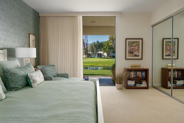 carpeted bedroom featuring access to exterior and a closet