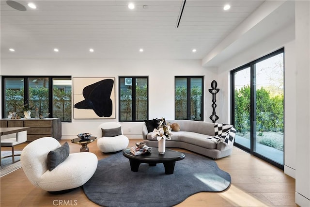 living room featuring light hardwood / wood-style flooring