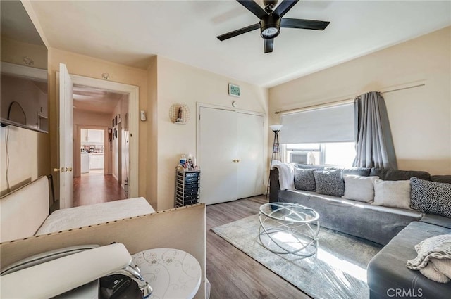 living room with hardwood / wood-style flooring and ceiling fan