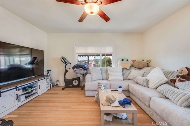 living room with ceiling fan and light wood-type flooring