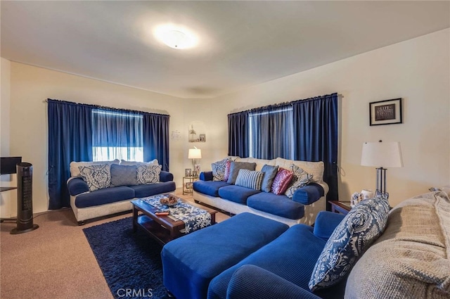 view of carpeted living room