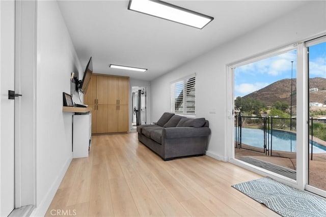 living room featuring light wood-type flooring