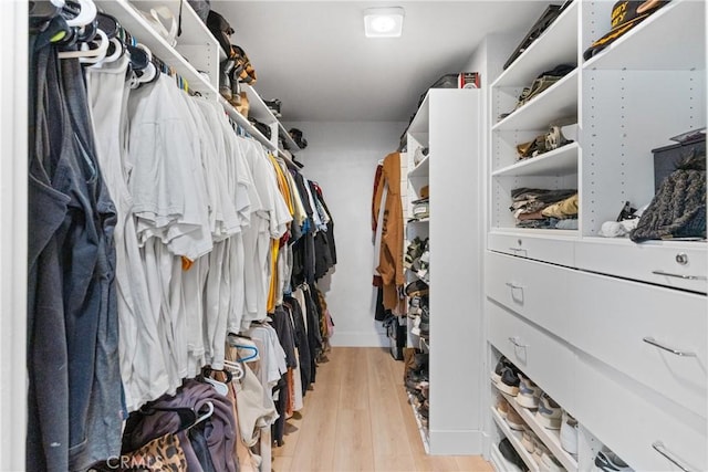 spacious closet with light hardwood / wood-style floors