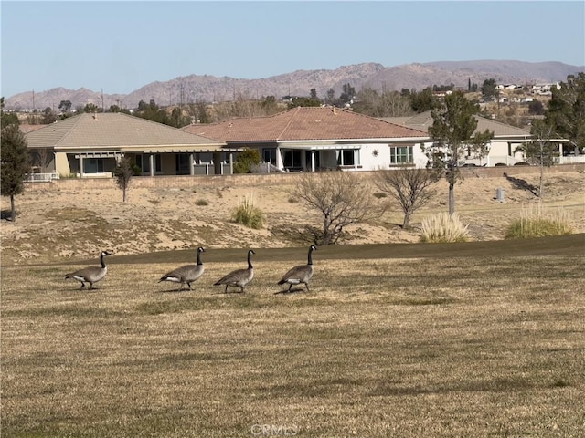 back of property with a mountain view and a lawn