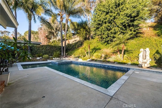 view of swimming pool with a patio and an in ground hot tub