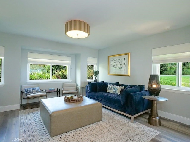 living room with hardwood / wood-style floors