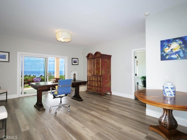 office space featuring hardwood / wood-style flooring