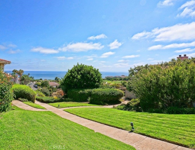 view of home's community with a yard and a water view