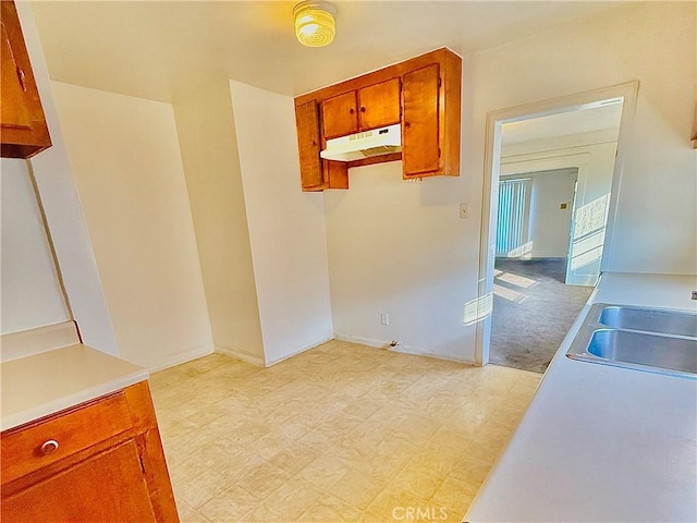 kitchen featuring sink