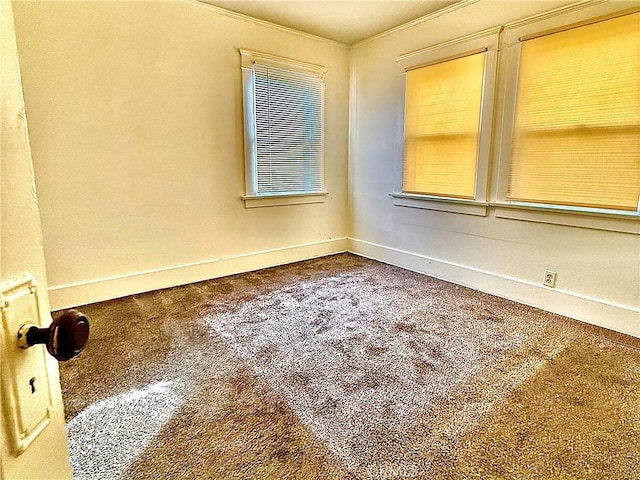 carpeted empty room with ornamental molding