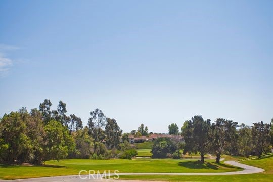 view of community with a yard