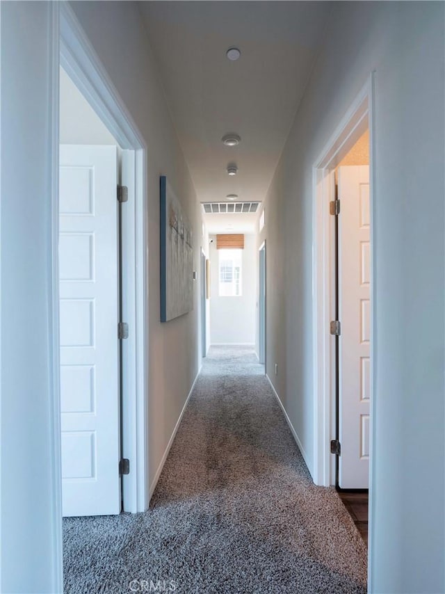 hall featuring carpet