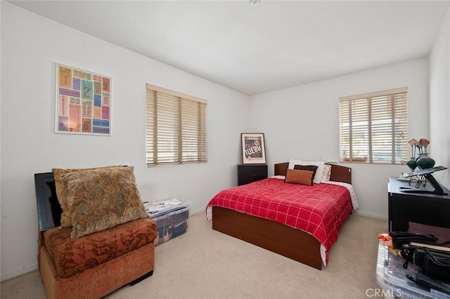 bedroom with carpet flooring