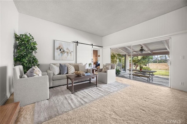 living area featuring a textured ceiling and a barn door